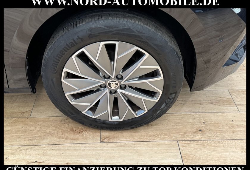 Skoda Kamiq Kamiq Ambition 1.0 TGI G-TEC Navi/LED/Kamera/17