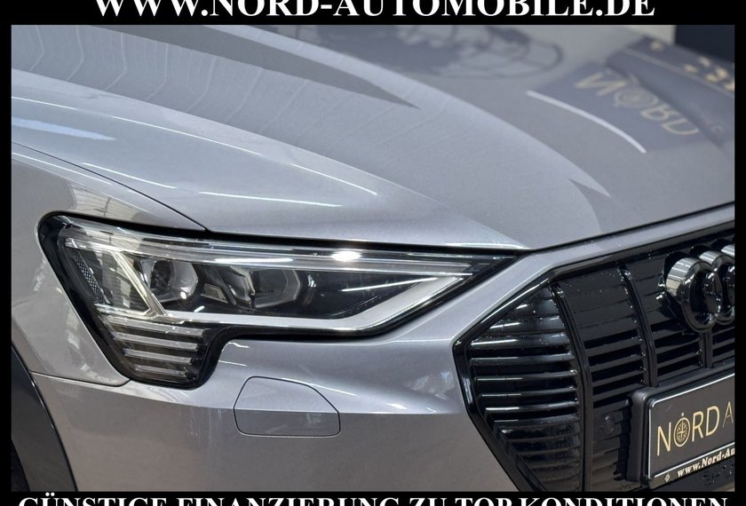 Audi e-tron e-tron 55 QU.Advanced Optik schwarz/Kamera/20/
