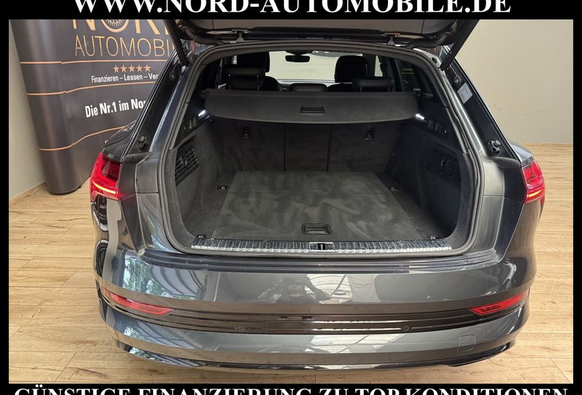 Audi e-tron e-tron 50 QU.S-Line Teilleder/Kamera/Navi/21