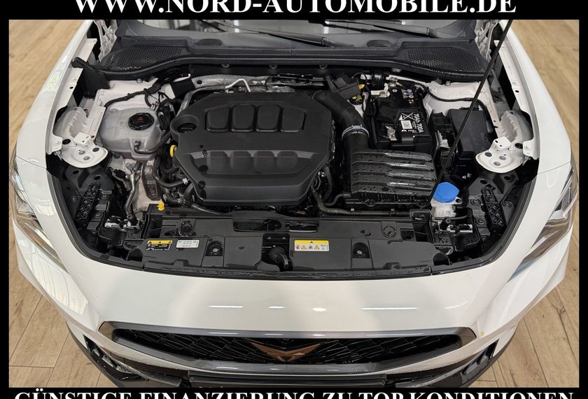 Cupra Formentor Formentor 2.0 TSI VZ DSG Kamera/Navi/LED/19