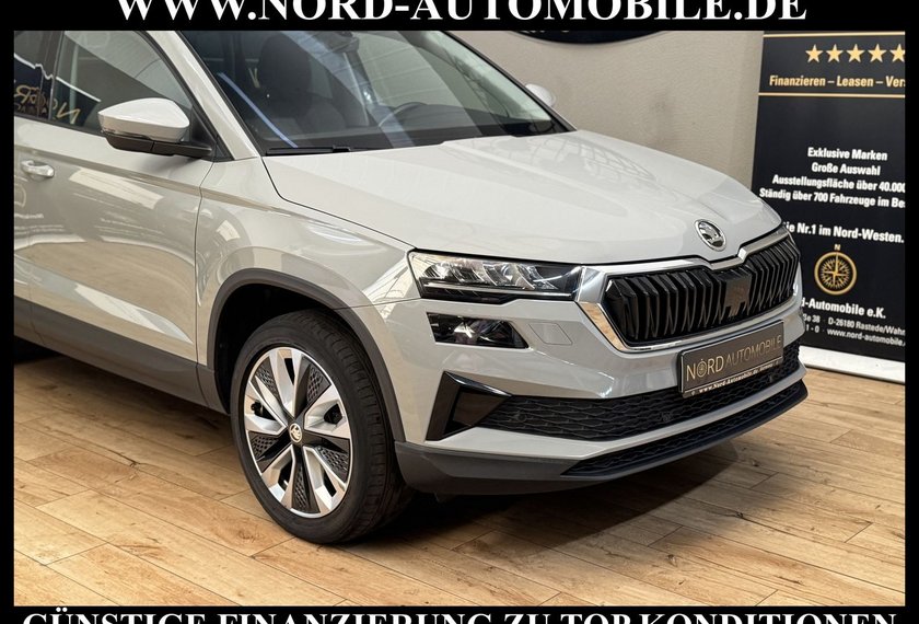 Skoda Karoq Karoq Style 2.0 TDI Navi/Kamera/Virt.Cockpit/18