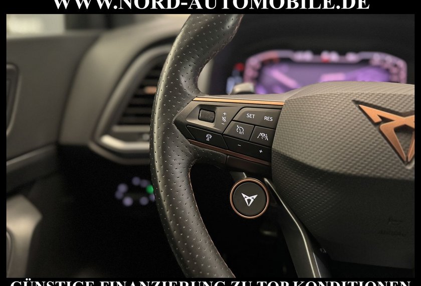 Cupra Ateca Ateca Edition VZ 2.0 TSI DSG Beats/20/Kamera Lim