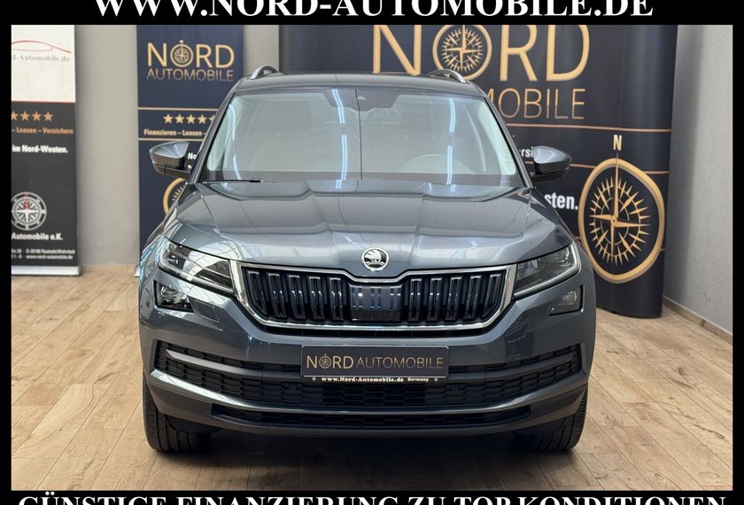 Skoda Kodiaq Kodiaq 2.0 TSI DSG Area View/Navi/LED/19/