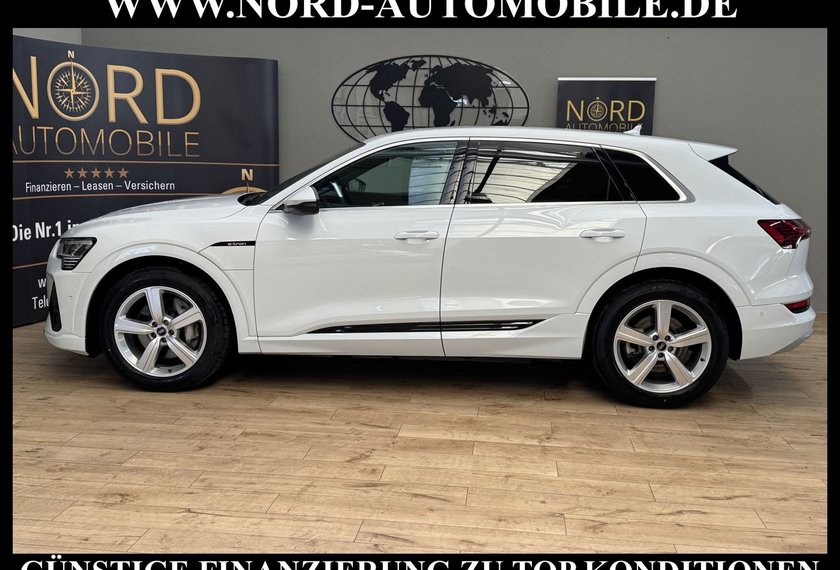 Audi e-tron e-tron 50 QU.S-Line Teilleder/Kamera/20/LED