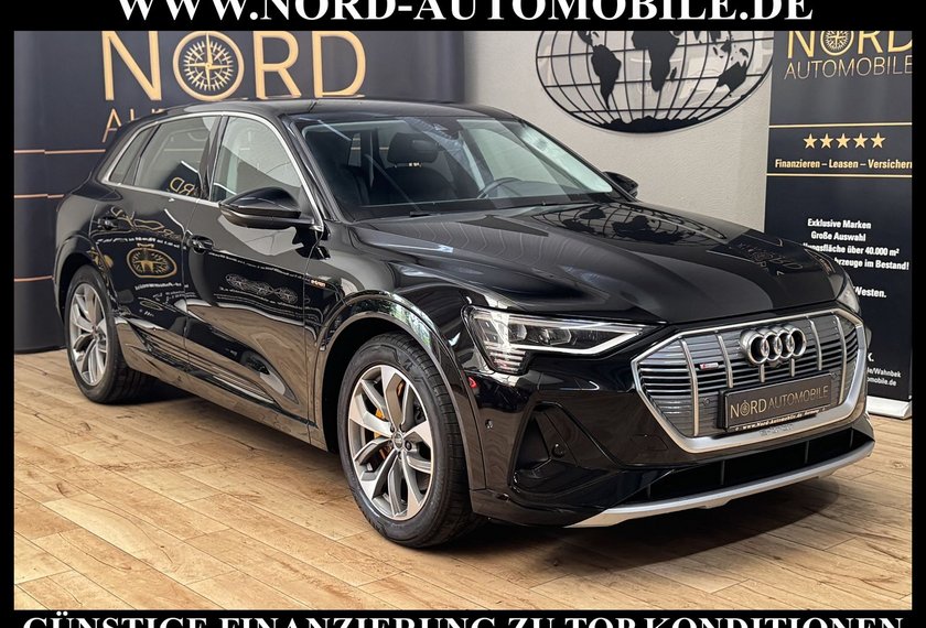 Audi e-tron e-tron 55 S-Line QU.Leder/Matrix/B&amp;O/Kamera/20