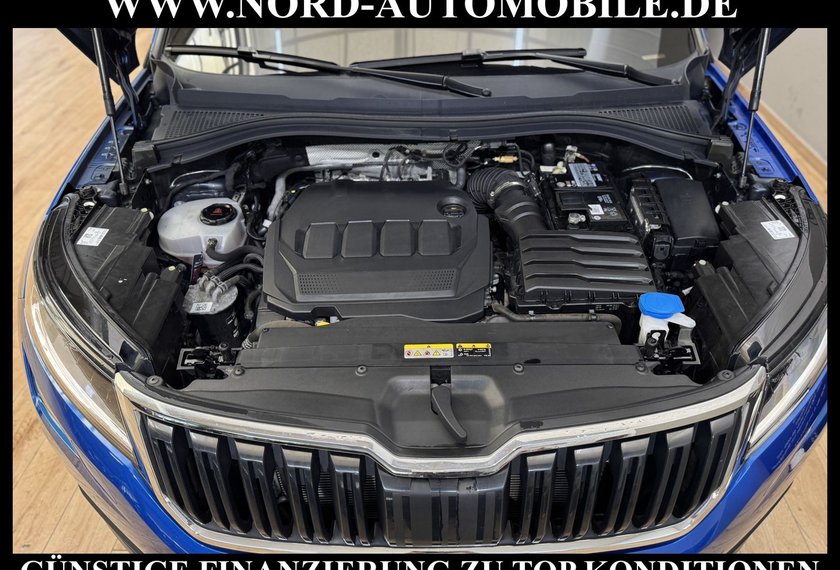 Skoda Kodiaq Kodiaq 2.0 TDI DSG AHK/Virt.Cockpit/SIDE&amp;LANE/19