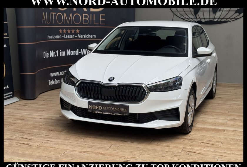 Skoda Fabia Fabia Ambition 1.0 TSI Navi/LED/SHZ