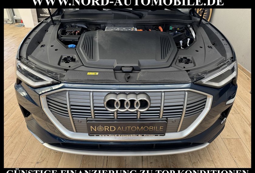 Audi e-tron e-tron 55 QU.Advanced Leder/UPE102/Pano/Matrix/