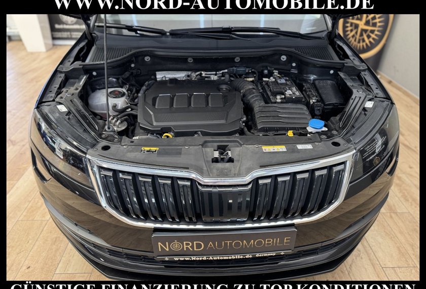Skoda Karoq Karoq Style 2.0 TDI DSG Kamera/Navi/ACC/18