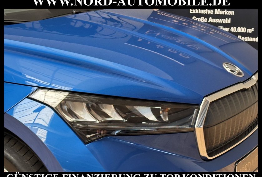 Skoda Enyaq Enyaq iV 80 Loft AHK/Kamera/Navi/LED/20