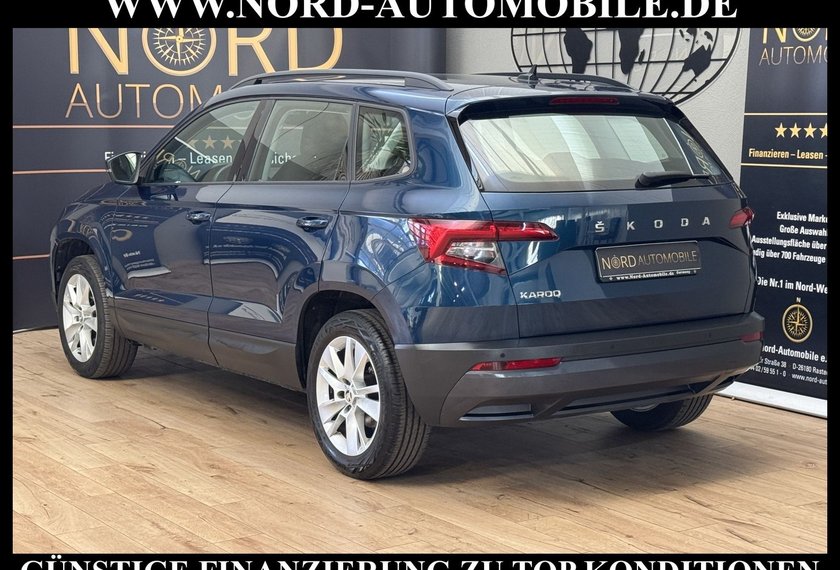 Skoda Karoq Karoq Ambition 2.0 TDI DSG Navi/PDC/SHZ/17