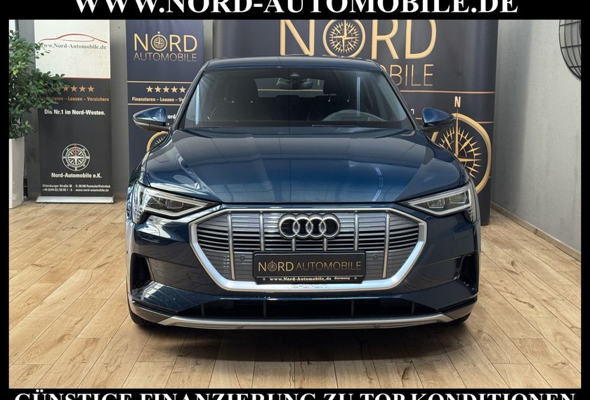 Audi e-tron e-tron 50 QU.S-Line Teilleder/Kamera/Head-Up/20