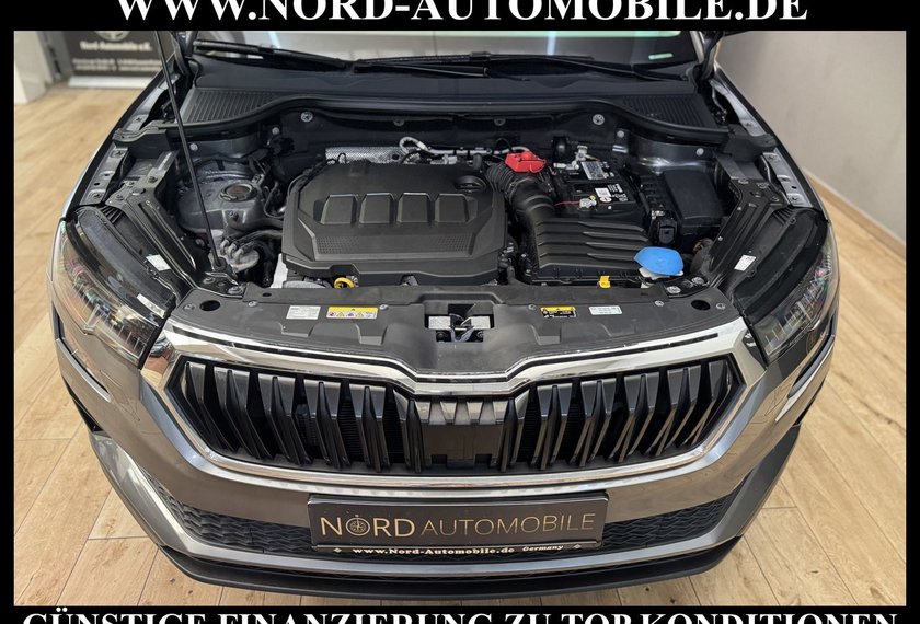 Skoda Karoq Karoq Style 2.0 TDI DSG AHK/StHz/Kamera/Virt.Coc