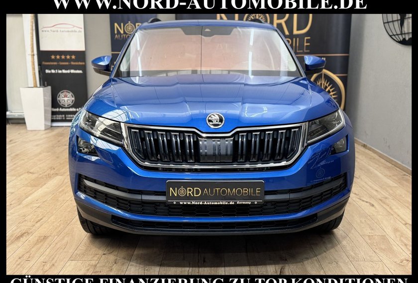 Skoda Kodiaq Kodiaq 2.0 TDI DSG AHK/Virt.Cockpit/SIDE&amp;LANE/19