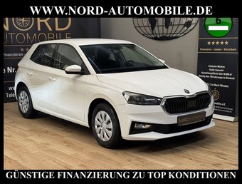 Skoda Fabia Fabia Selection 1.0 MPI Klimatronic/PDC/SHZ