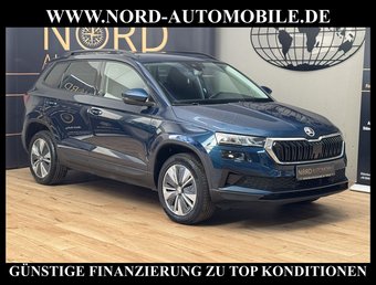 Skoda Karoq Karoq Business 2.0 TDI DSG Virt.Cockpit/Kamera/