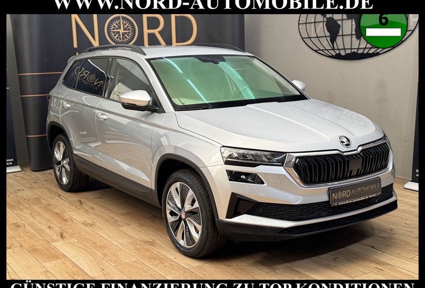 Skoda Karoq Karoq Style 2.0 TDI DSG Virt.Cockpit/Kamera/18