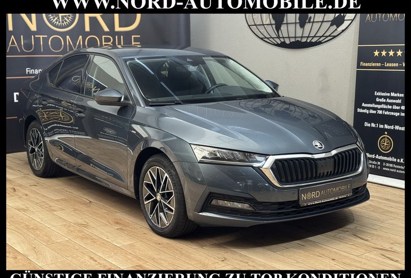 Skoda Octavia Octavia Limousine Ambition 2.0 TDI Kamera/Navi/