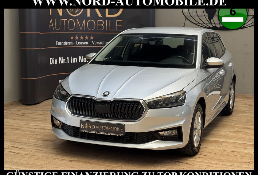 Skoda Fabia Fabia Ambition 1.0 TSI LED/Spurhalte/Klima/15