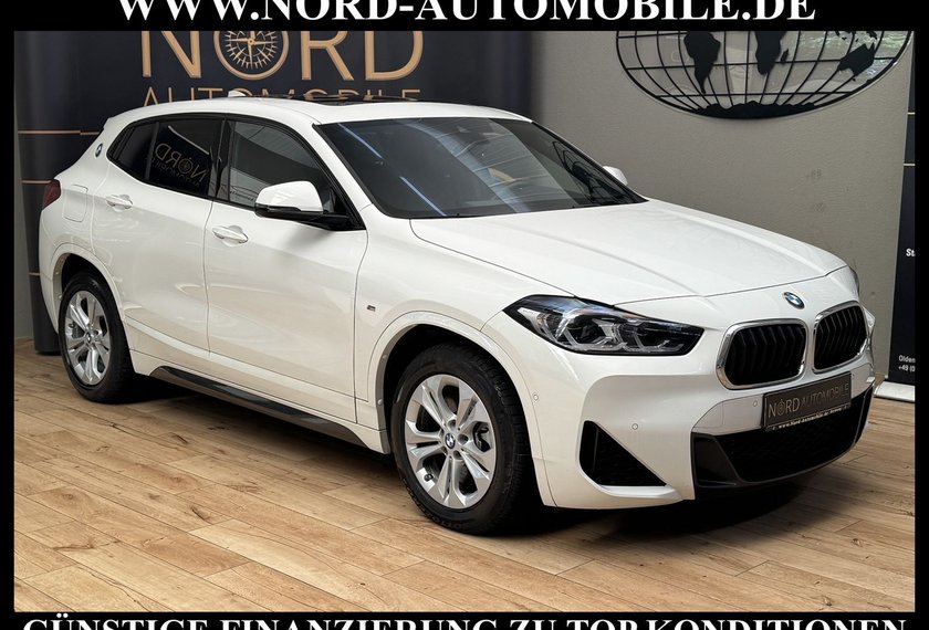 BMW X2 X2 xDrive20d M Sport *LED*AHK*Kamera*Panorama*
