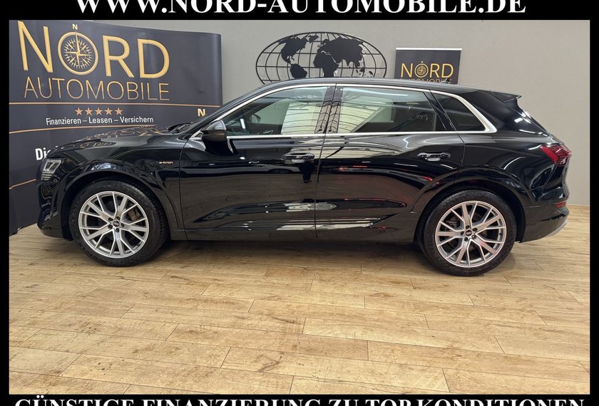 Audi e-tron e-tron 50 QU.S-Line B&amp;O/21/Navi/Teilleder/LED