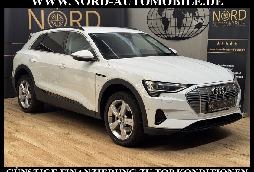 Audi e-tron e-tron 55 QU.Teilleder/Navi/LED/Side&amp;Lane/20