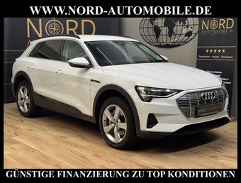Audi e-tron e-tron 55 QU.Teilleder/Navi/LED/Side&amp;Lane/20