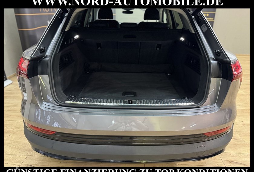 Audi e-tron e-tron QU. Teilleder/Kamera/21/Navi/LED/UPE83/