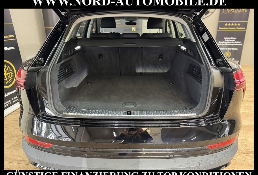 Audi e-tron e-tron 55 QU. Teilleder/AHK/Kamera/20/