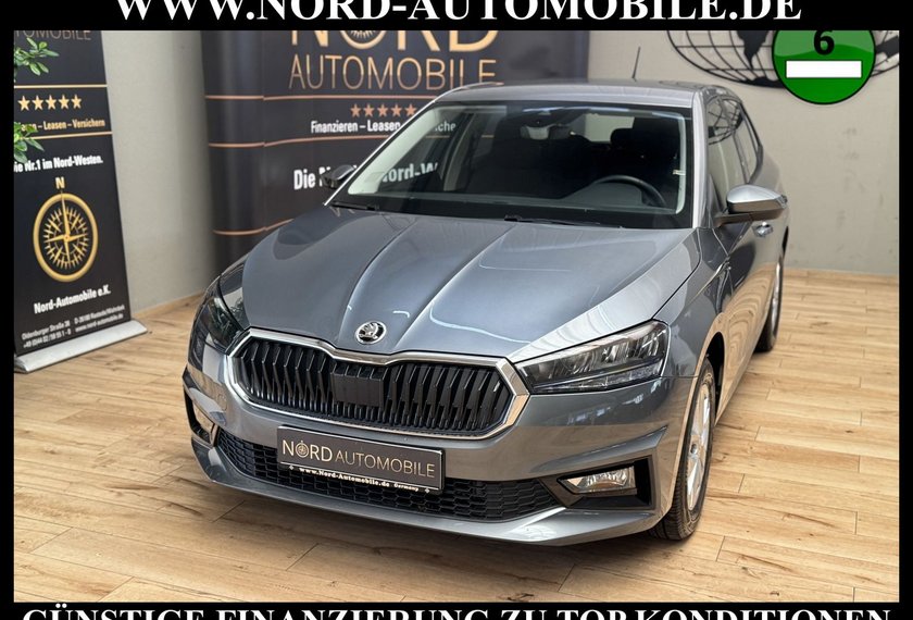 Skoda Fabia Fabia Ambition 1.0 TSI LED/Klima/PDC/15