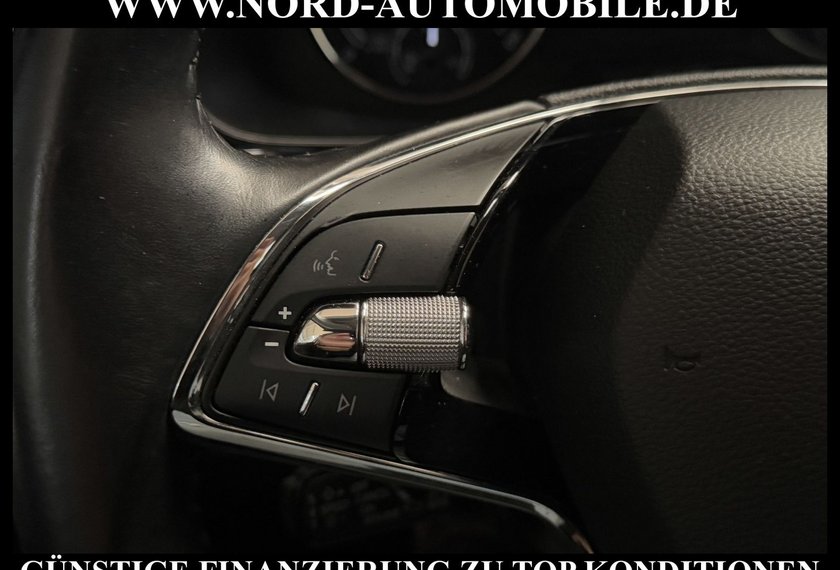 Skoda Kamiq Kamiq Style 1.0 TGI G-TEC Navi/LED/Kamera/17