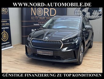 Skoda Enyaq Enyaq iV 80 Loft Automatik Kamera/Wärmepumpe/