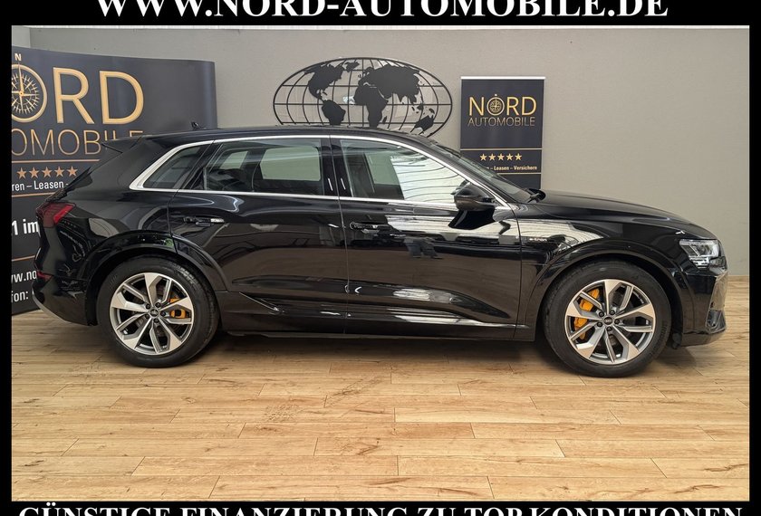 Audi e-tron e-tron 55 S-Line QU.Leder/Matrix/B&amp;O/Kamera/20