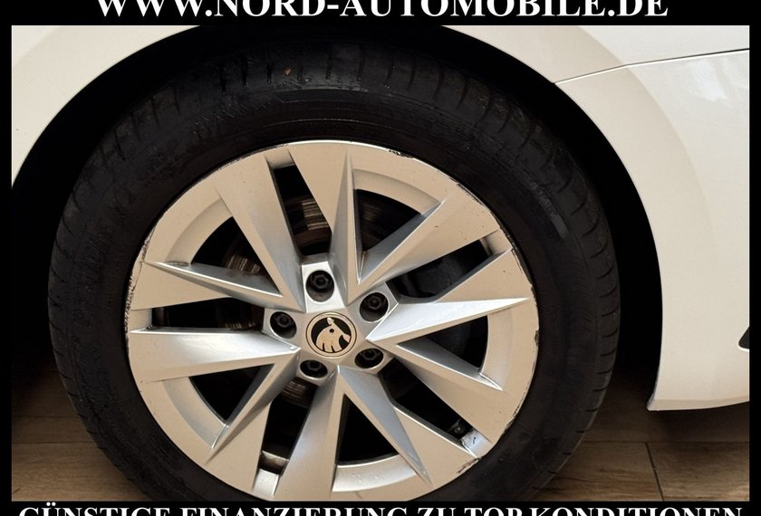 Skoda Octavia Octavia Combi Style 2.0 TDI DSG AHK/Kamera