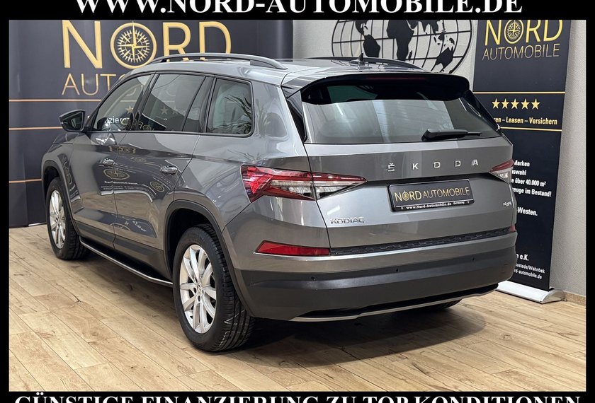 Skoda Kodiaq Kodiaq Ambition 2.0 TDI DSG Leder/AHK/Trittbrett