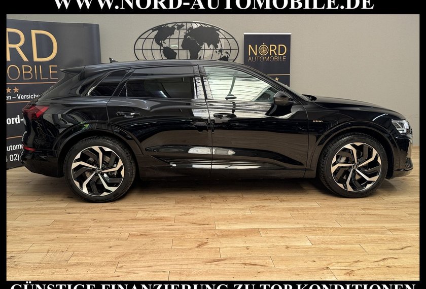 Audi e-tron e-tron 50 QU.S-Line Matrix/Kamera/21/