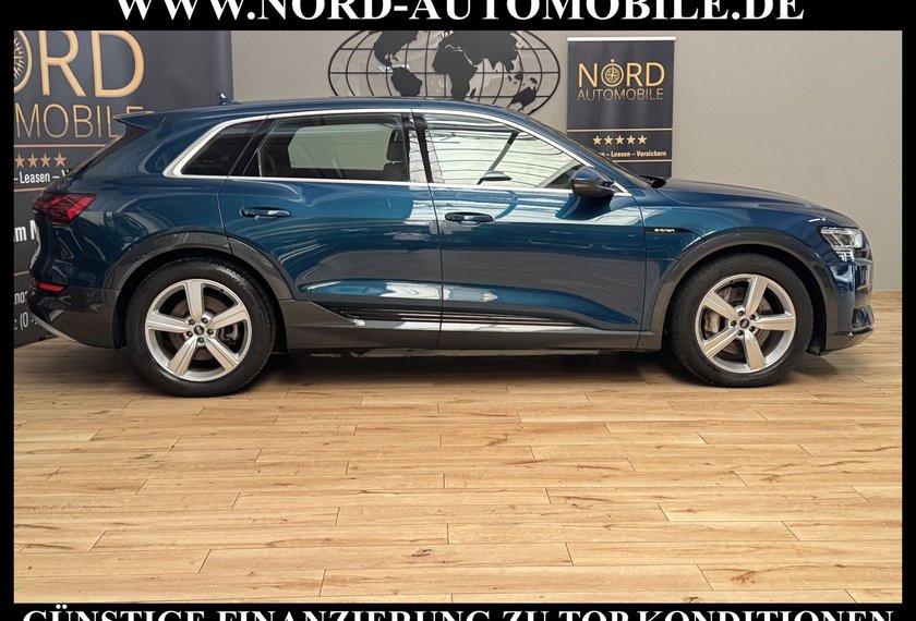 Audi e-tron e-tron 50 QU.S-Line Teilleder/Kamera/Head-Up/20