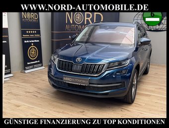 Skoda Kodiaq Kodiaq 2.0 TSI 4x4 DSG Ambition AHK/Virt.Cockpit