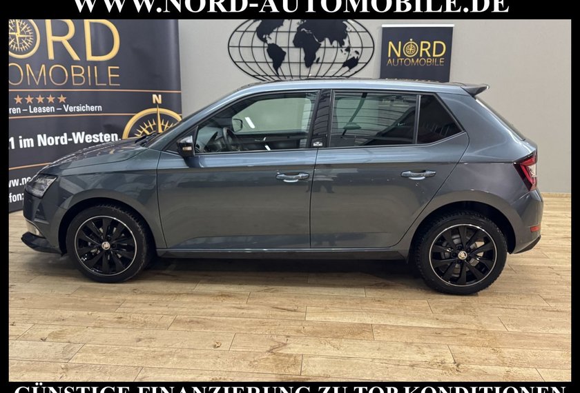 Skoda Fabia Fabia Monte Carlo 1.0 TSI LED/Pano/PDC/SHZ